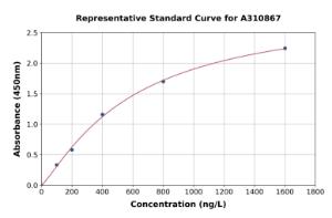 Representative standard curve for Human Cannabinoid Receptor II ELISA kit (A310867)