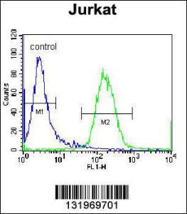 Anti-RBPJL Rabbit Polyclonal Antibody (AP (Alkaline Phosphatase))