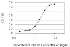 Anti-TRD Mouse Monoclonal Antibody [clone: 2H6]