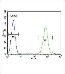 Anti-SLC8A1 Rabbit Polyclonal Antibody (AP (Alkaline Phosphatase))