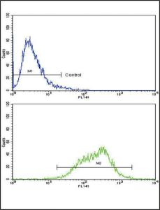 Anti-LIF Rabbit Polyclonal Antibody (Biotin)