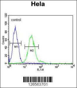 Anti-TRMT11 Rabbit Polyclonal Antibody (AP (Alkaline Phosphatase))