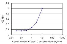 Anti-UBE2L6 Polyclonal Antibody Pair