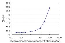 Anti-SERPINA3 Mouse Monoclonal Antibody (Biotin)