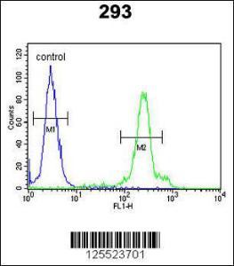 Anti-ERMN Rabbit Polyclonal Antibody (FITC (Fluorescein Isothiocyanate))