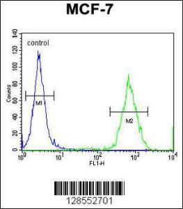 Anti-GPD1L Rabbit Polyclonal Antibody (FITC (Fluorescein Isothiocyanate))