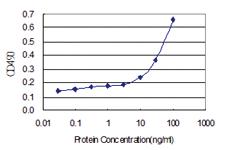 Anti-HSPA13 Polyclonal Antibody Pair