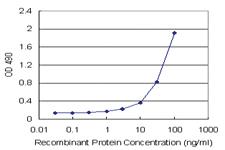 Anti-SERPINA3 Mouse Monoclonal Antibody (Biotin)