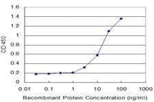 Anti-RNF2 Mouse Monoclonal Antibody [clone: 4A9]