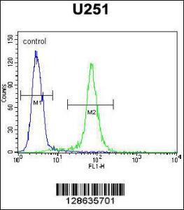 Anti-CCDC9 Rabbit Polyclonal Antibody (FITC (Fluorescein Isothiocyanate))