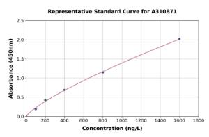 Representative standard curve for Human TRNT1 ELISA kit (A310871)