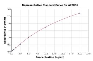 Representative standard curve for Human TLR2 ELISA kit (A78886)