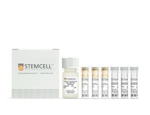 EasySep™ HLA Chimerism whole blood CD4 positive selection kit