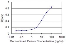 Anti-SIGLEC12 Mouse Monoclonal Antibody [clone: 1D1]