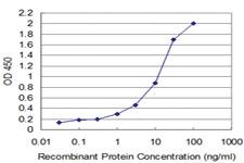 Anti-TESK2 Mouse Monoclonal Antibody [clone: 5H4]