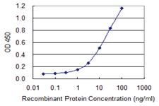 Anti-IDNK Mouse Monoclonal Antibody [clone: 3B7]