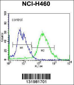 Anti-GSR Rabbit Polyclonal Antibody