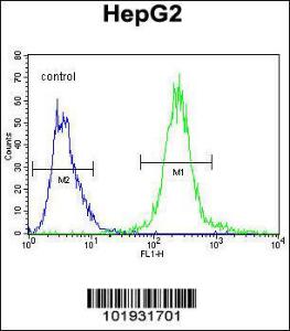 Anti-MAFK Rabbit Polyclonal Antibody (APC (Allophycocyanin))