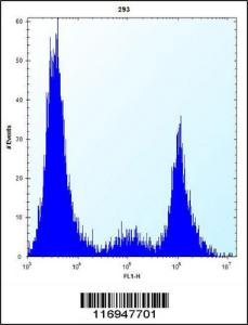 Anti-CYP20A1 Rabbit Polyclonal Antibody