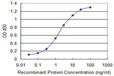 Anti-PIM3 Mouse Monoclonal Antibody [clone: 4A9]