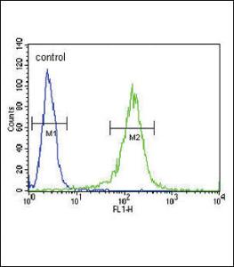 Anti-RDH10 Rabbit Polyclonal Antibody (APC (Allophycocyanin))