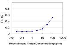 Anti-NTNG2 Mouse Monoclonal Antibody [clone: 4F11]