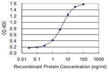 Anti-LSP1 Mouse Monoclonal Antibody [clone: 1C4]