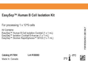 EasySep™ human B cell isolation kit