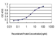 Anti-ERH Mouse Monoclonal Antibody [clone: 1H4]