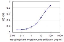 Anti-RBM3 Mouse Monoclonal Antibody [clone: 4D6]