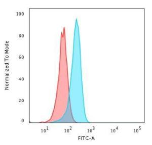 Flow cytometric analysis of HeLa cells using Anti-p53 Antibody [TP53/1799R] followed by Goat Anti-Rabbit IgG (CF&#174; 488) (Blue). Isotype Control (Red).