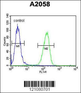 Anti-GSTO2 Rabbit Polyclonal Antibody (AP (Alkaline Phosphatase))