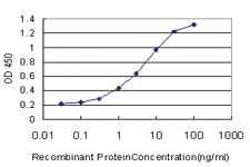 Anti-RNF6 Mouse Monoclonal Antibody [clone: 3B1]