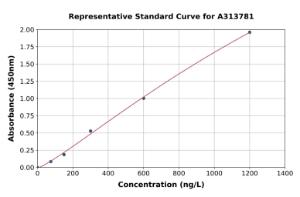 Representative standard curve for mouse PEDF ELISA kit (A313781)