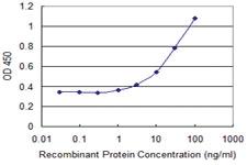 Anti-OR2A2 Mouse Monoclonal Antibody [clone: 4B10]