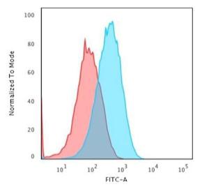 Flow cytometric analysis of paraformaldehyde fixed HepG2 cells using Anti-Albu min Antibody [ALB/2356] followed by Goat Anti-Mouse IgG (CF&#174; 488) (Blue). Isotype Control (Red)