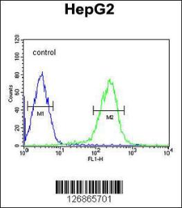 Anti-SMAD6 Rabbit Polyclonal Antibody (FITC (Fluorescein Isothiocyanate))