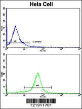 Anti-NFKBIA Rabbit Polyclonal Antibody