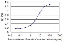 Anti-TRIM72 Mouse Monoclonal Antibody [clone: 2G1]