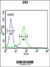 Anti-BTBD1 Rabbit Polyclonal Antibody