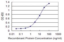 Anti-KAT6A Mouse Monoclonal Antibody [clone: 4D8]