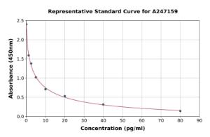 Representative standard curve for Endothelin-1 ELISA kit (A247159)