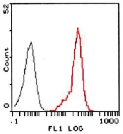 Anti-FPR2 Rabbit Polyclonal Antibody