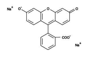 Fluorescein disodiu 2 100 mg