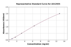 Representative standard curve for Mouse Wnt5a ELISA kit (A312935)