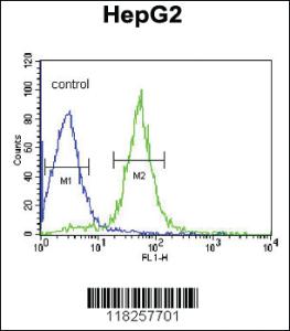 Anti-AIFM2 Rabbit Polyclonal Antibody