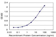 Anti-CPA1 Mouse Monoclonal Antibody [clone: 3F11]