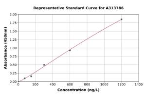 Representative standard curve for human beta Catenin ELISA kit (A313786)