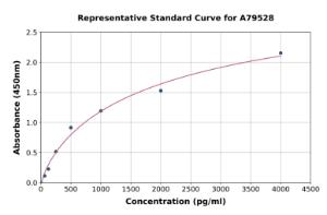 Representative standard curve for Human MDC/CCL22 ELISA kit (A79528)