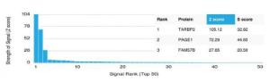 Analysis of protein array containing more than 19,000 full-length human proteins using Anti-TRBP Antibody [PCRP-TARBP2-1E5] Z-Score and S- Score